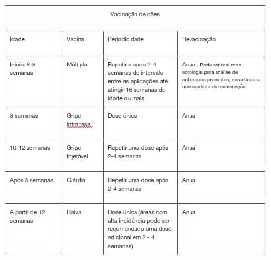 vacinação de cachorro