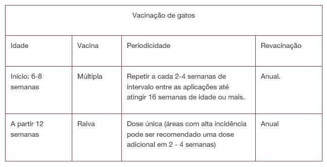 vacinação de gato