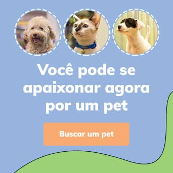 Banner você pode se apaixonar agora por um pet