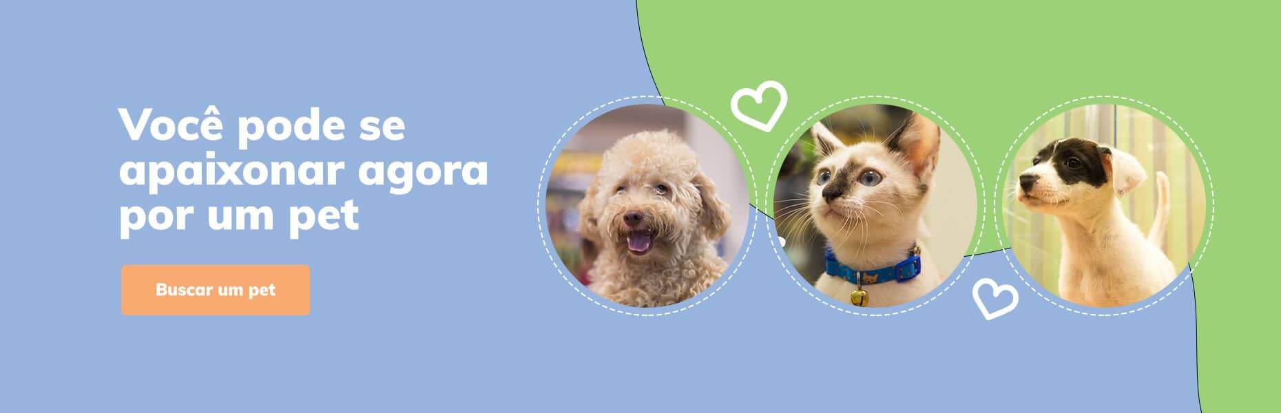 Banner você pode se apaixonar agora por um pet