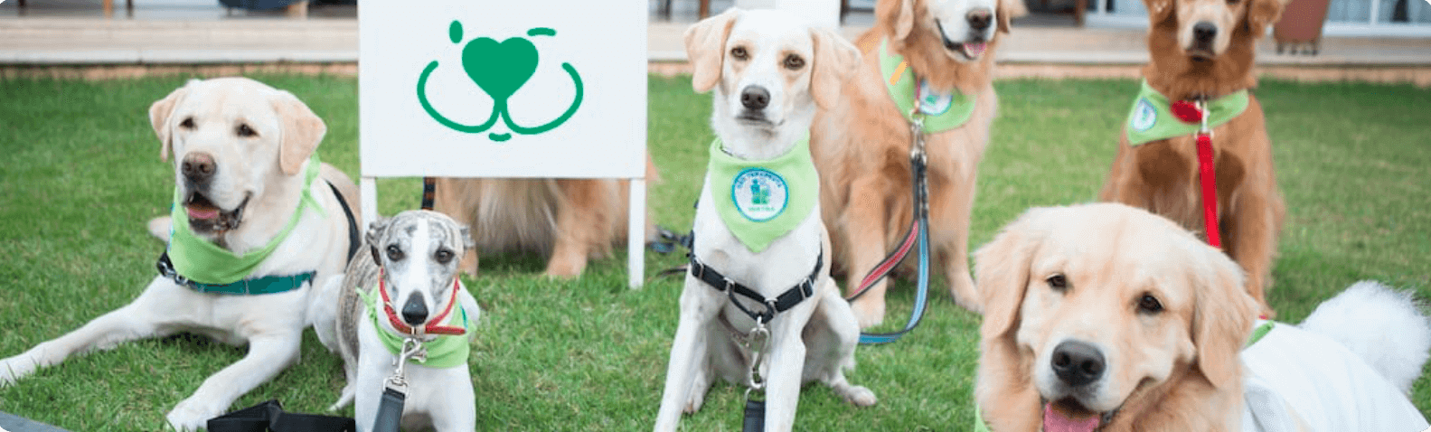 Imagem de Projetos sociais