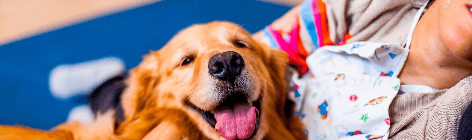 Imagem de Projetos sociais